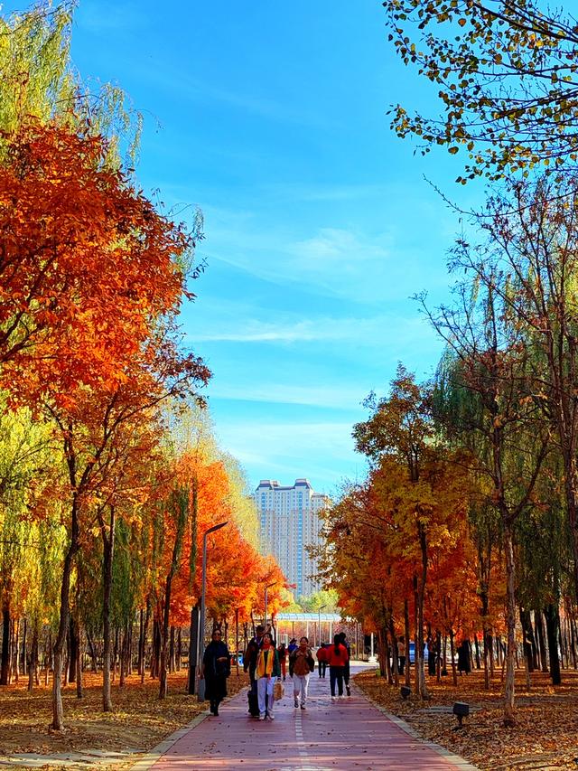 金色秋天的画 bba8-eba654f4ab88ffbc9c21bb78ece09ba3.jpg