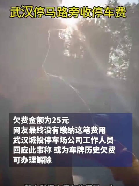 新车在武汉被收取4年前停车费，停车场：或为车牌历史欠费