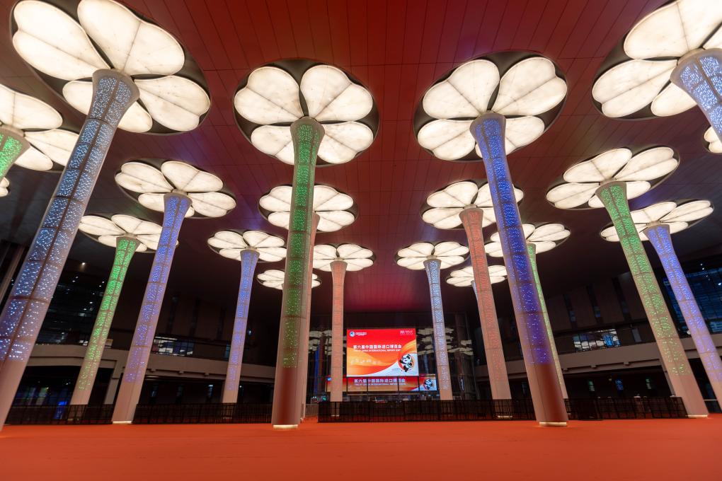 一字观进博丨新