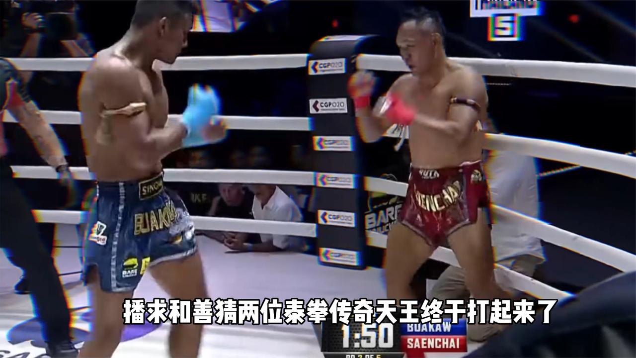 播求vs善猜泰拳巅峰对决，是真打还是默契拳？