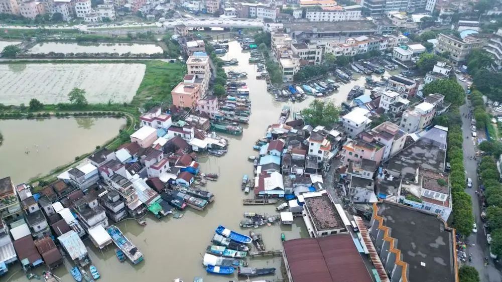 广州番禺国家级沿海渔港经济区:告别“水上漂”,渔民上岸出路更宽