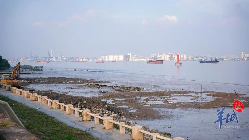 广州番禺国家级沿海渔港经济区:告别“水上漂”,渔民上岸出路更宽