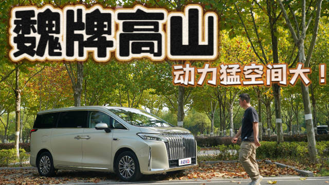 深度体验魏牌高山：翻身仗在此一搏……