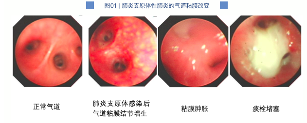 韩国瑜碰不得？侯友宜、赵少康、江启臣粉墨登场，郑丽文表态亮了v5.7.6 安卓手机版