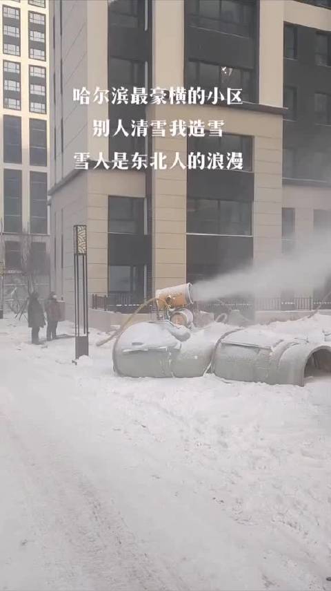 哈尔滨最豪横小区|哈尔滨市_新浪新闻