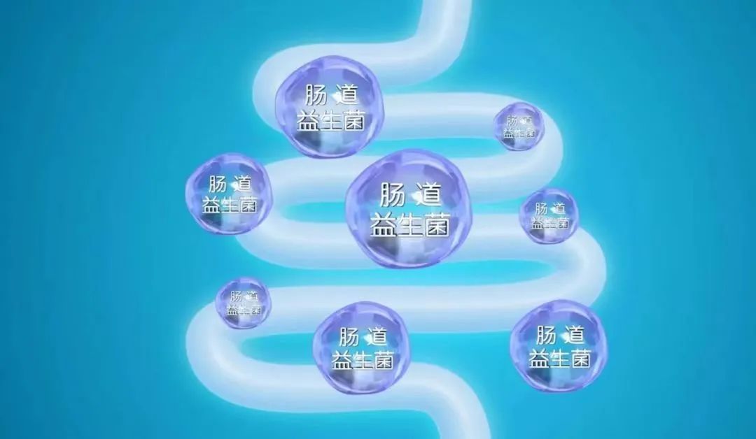 从酸奶到补剂，益生菌的贴金游戏：代工价低至1毛，暴利背后乱象重重