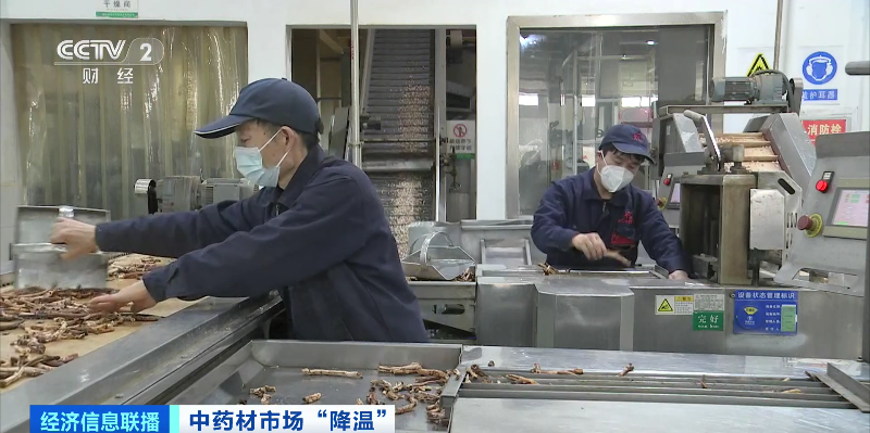 “狂飙”暂停!中药材价格降了,原因几何?