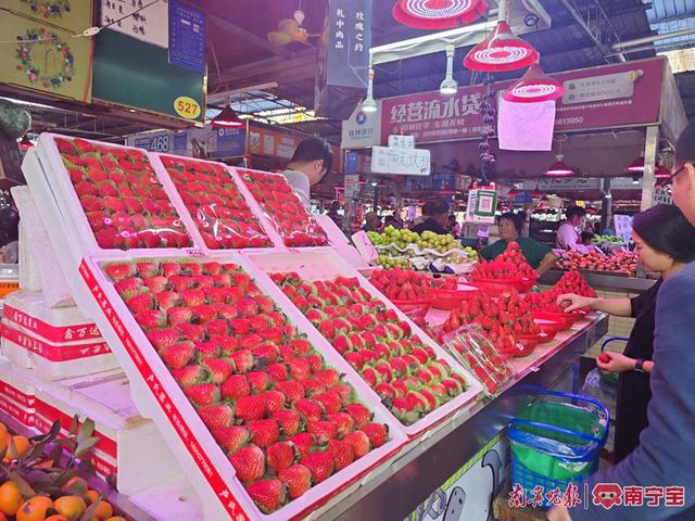 市民在选购草莓