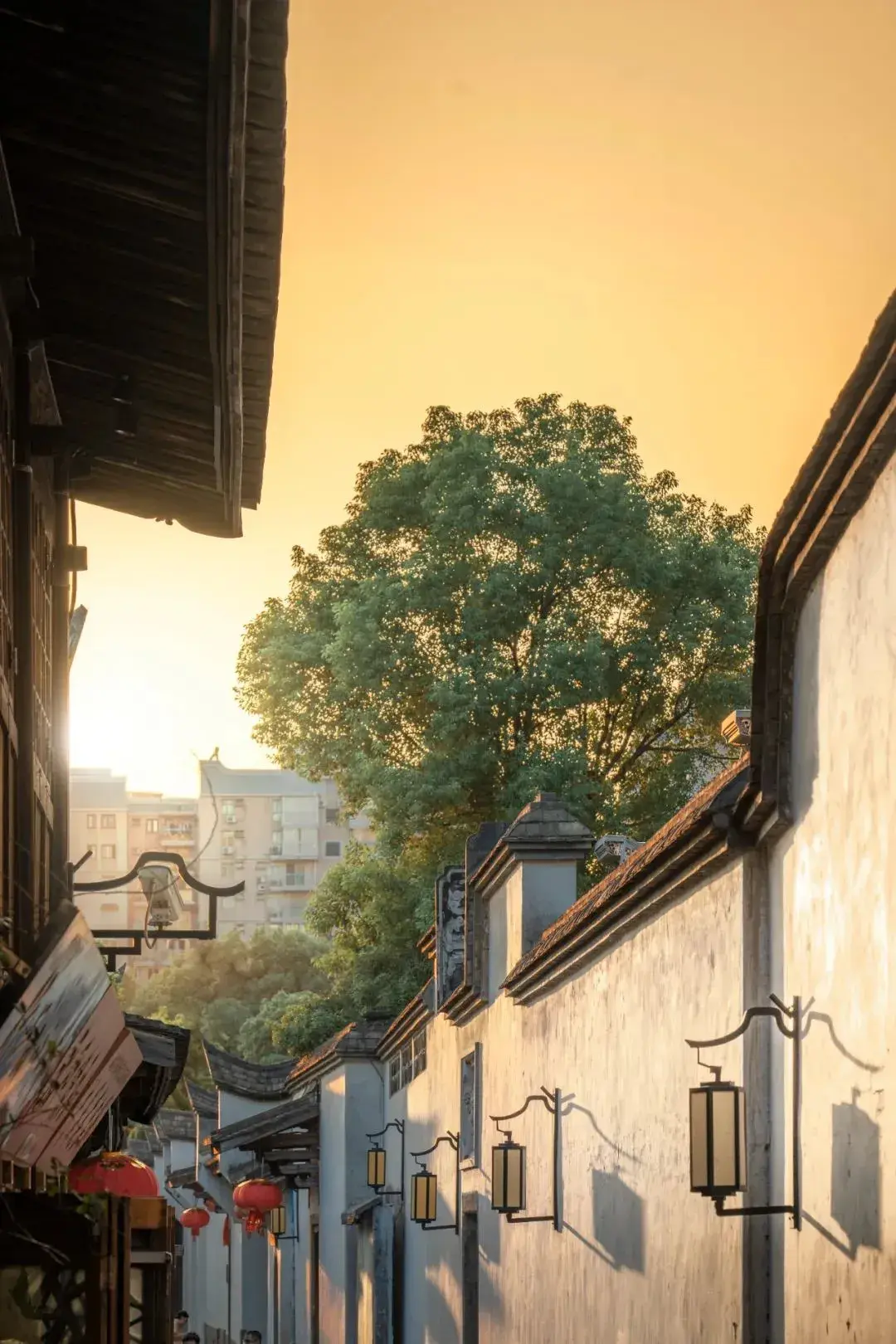 福州大学城哪个胡同便宜