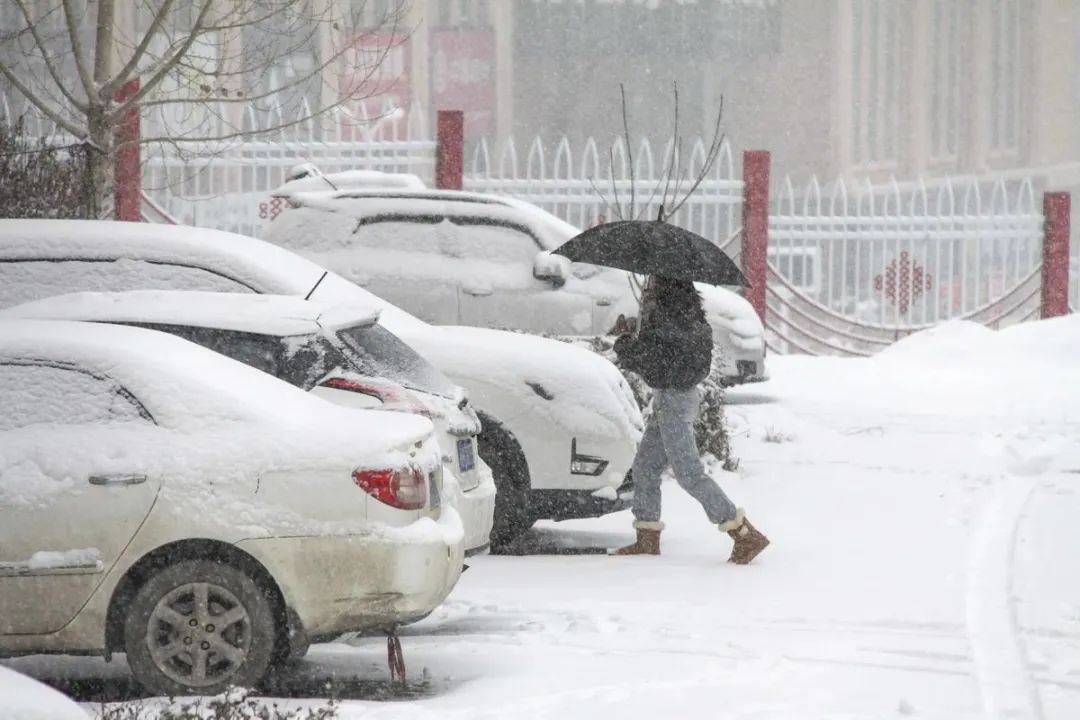 11月25日,新疆阿勒泰,市民冒雪出行。