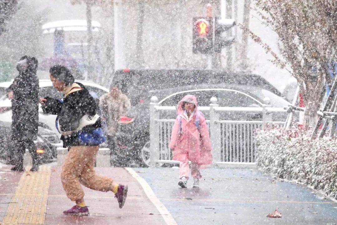 11月24日,山东烟台,受寒潮影响,该市迎来降雪天气。唐克/IC photo