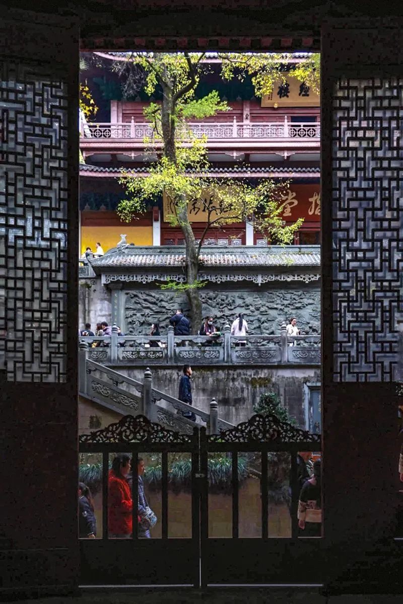 11月26日,浙江杭州,灵隐寺秋日美景。澎湃新闻记者 陈建慧 图
