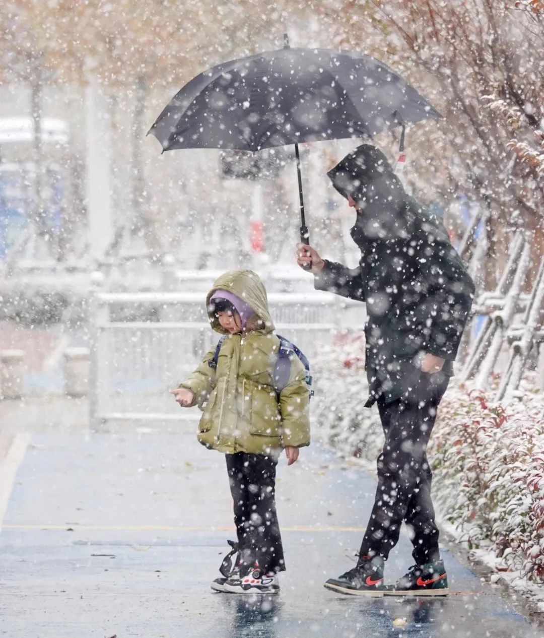 11月24日,山东烟台,受寒潮影响,该市迎来降雪天气。