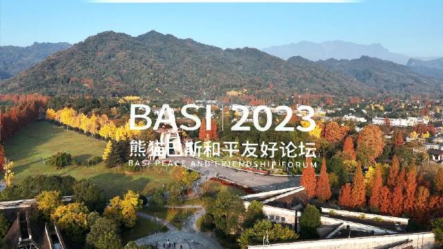 友好交往 共享和平！2023熊猫巴斯和平友好论坛今日举办