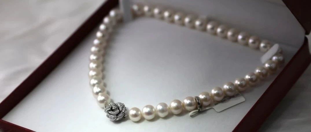 疯狂的珍珠：一月一涨价，养殖户卖断货，珠商月入500万