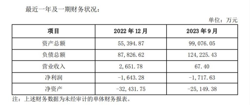 百汇达主要财务数据。图片来源:光环新网公告