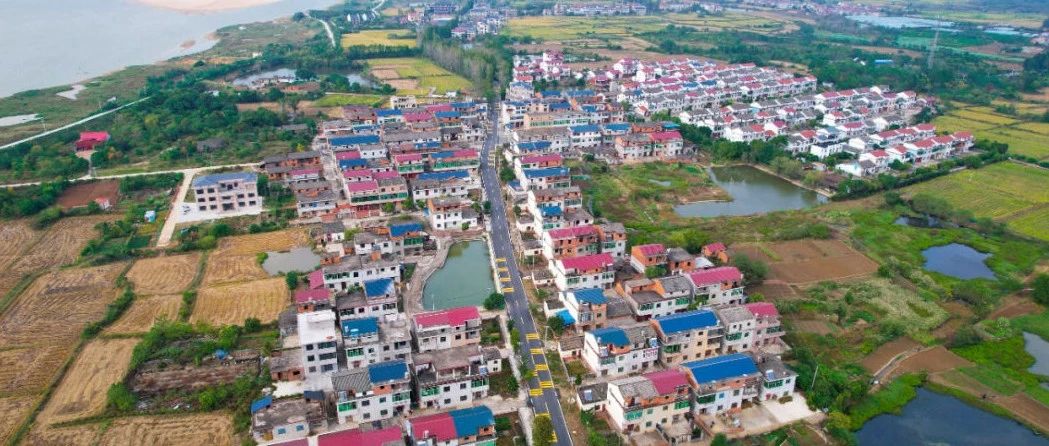 争议焦点:南昌县哪里还有玩学生快餐的:实地观察与本地现象解读