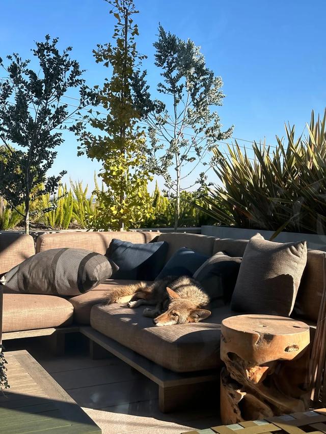 奥特曼当选《时代》年度CEO:才华横溢、关心人类、狡猾