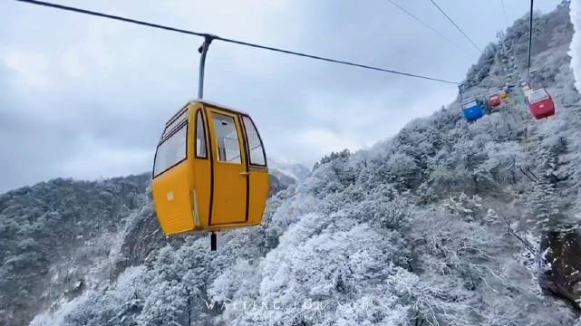 “忽如一夜春风来，千树万树梨花开”，12月11日，一场大雪过后……