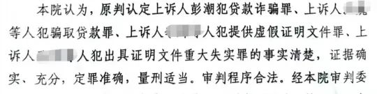 图片来源:二审刑事裁定书截图