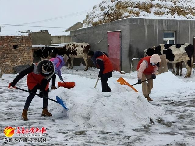 12月13日,在乌鲁木齐县板房沟镇琴苑社区,志愿者为老人清扫院内及周边的积雪。记者郭军鸽摄