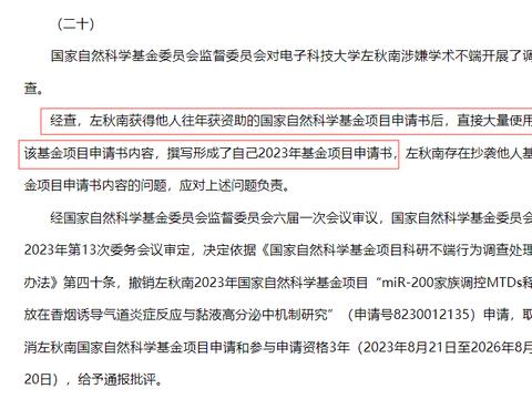 代写服务法律风险 代写病历借条是否违法