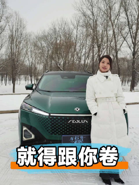 十万起步，咱也能开上混动SUV