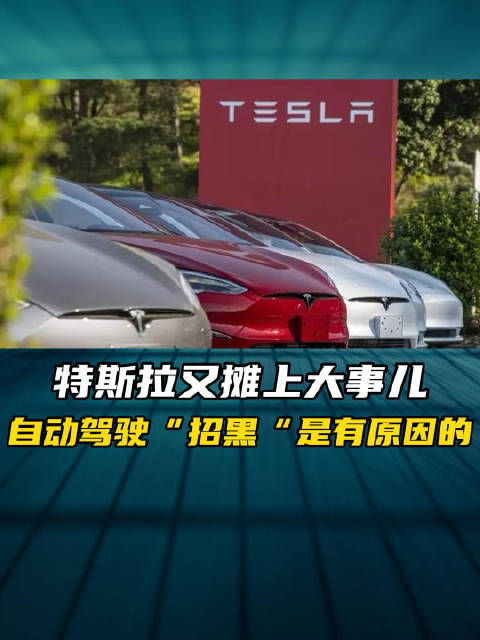 特斯拉又摊上大事儿 自动驾驶“招黑”是有原因的