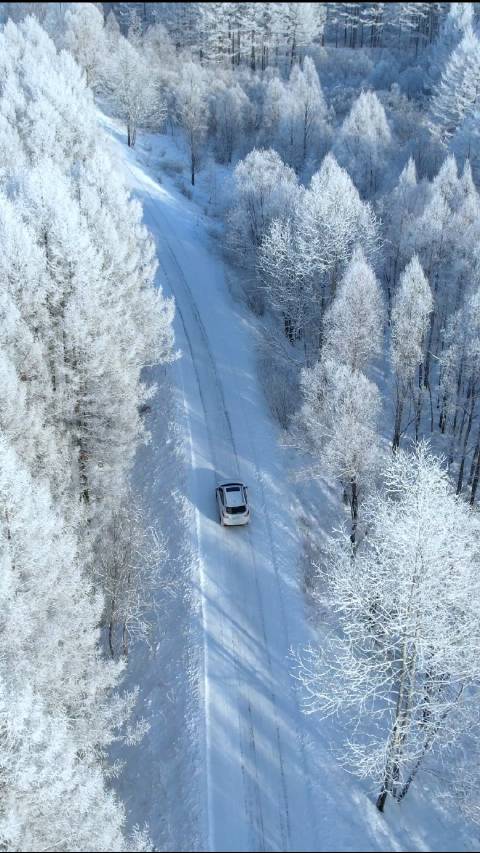 每年的十一月下旬至次年三月 只要不刮风下雪……