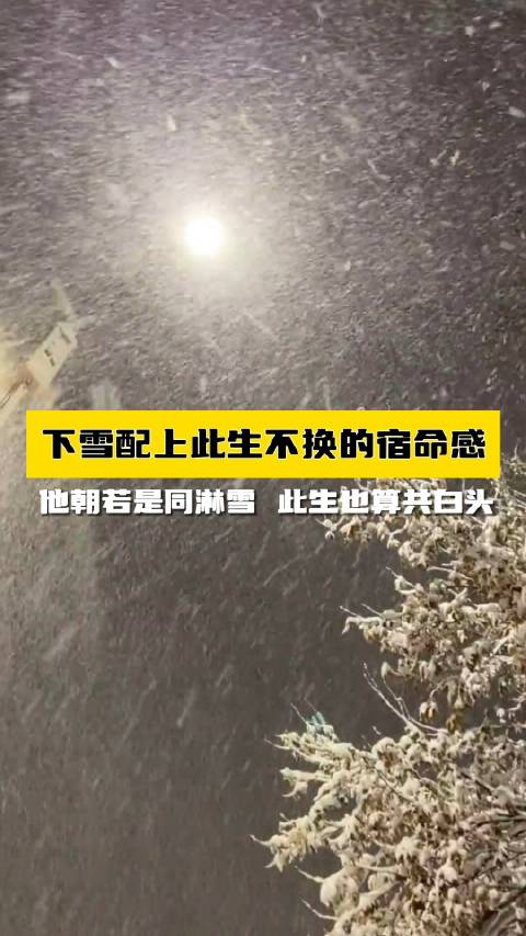 下雪配上此生不换，宿命感拉满了。这才是每个滑雪女孩的憧憬！