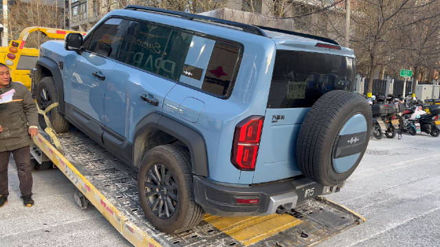 越豹扬鞭，享受豹力人生，走豹风之路