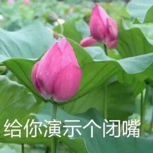 我知道什么职业适合二狗子了：汽车销售