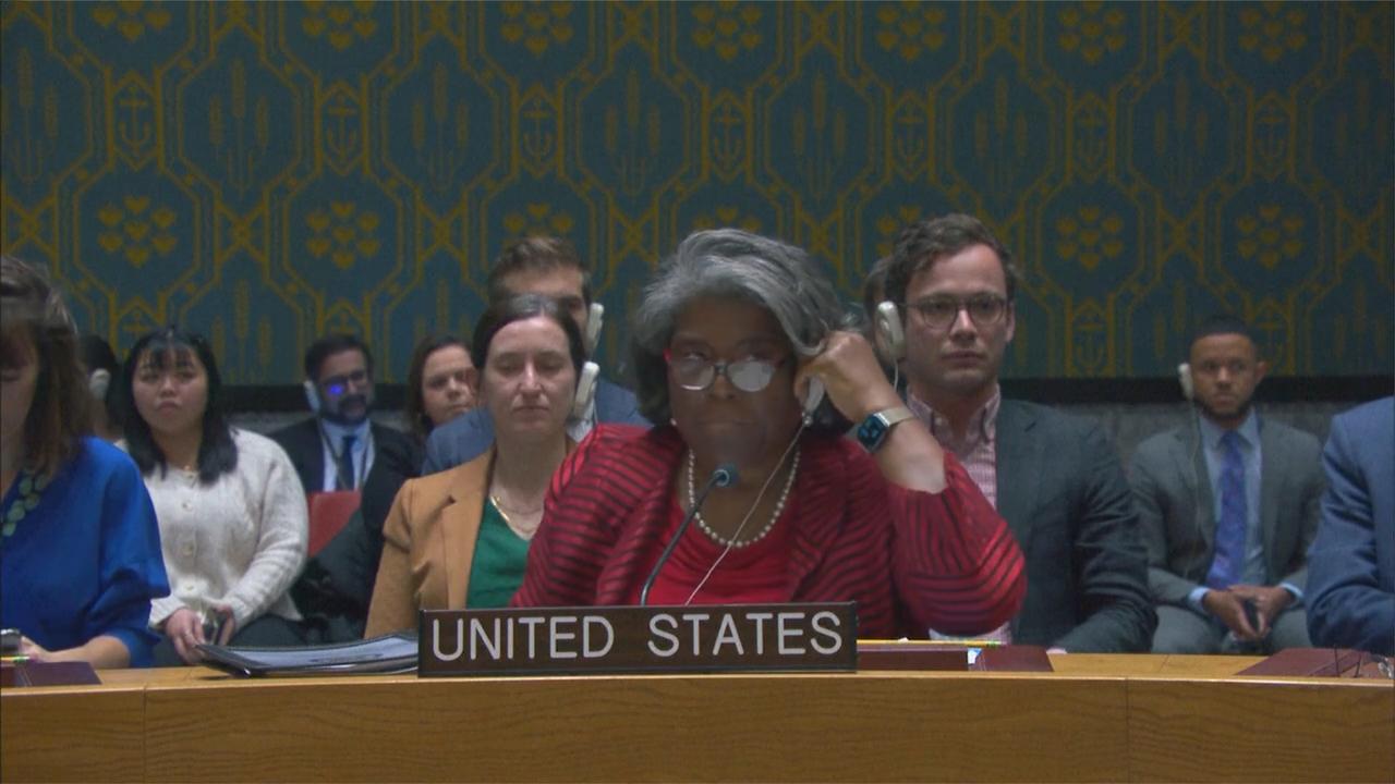 安理会投票美代表尴尬一幕