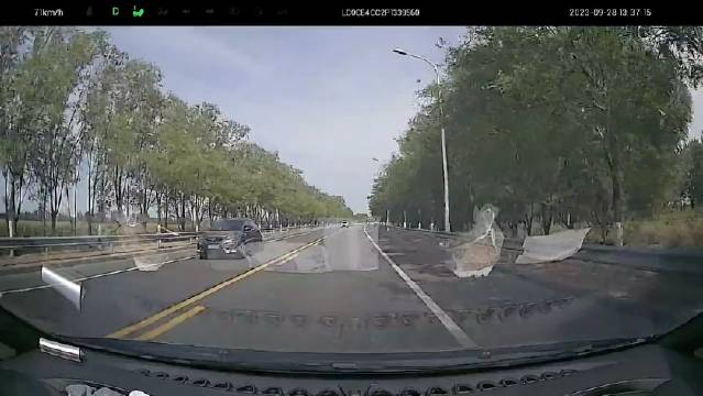 网友：兄弟们，真的烦。提车一个月……