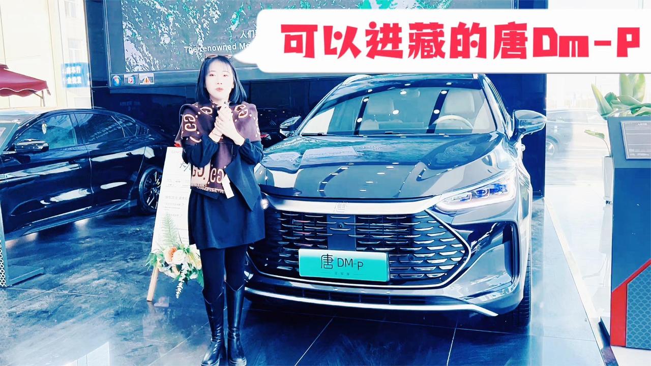 可以去西藏的唐DM-p 215km纯电续航 可城可野