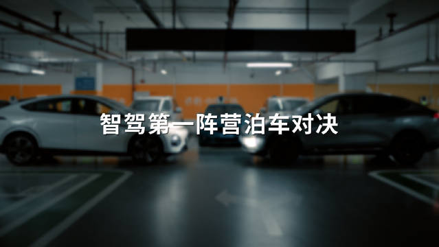 史上最强魔鬼车位挑战完整版，智驾第一阵营五车自动泊车对决！