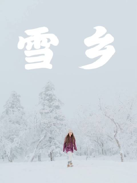 哈尔滨&雪乡 从哈尔滨到雪乡，再到大雪谷，亚布力等等……