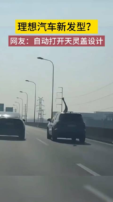 疑似理想汽车新发型？