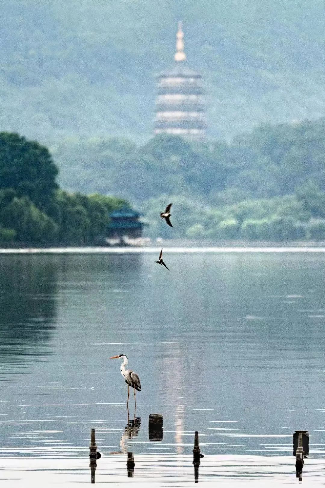 摄/肖奕叁