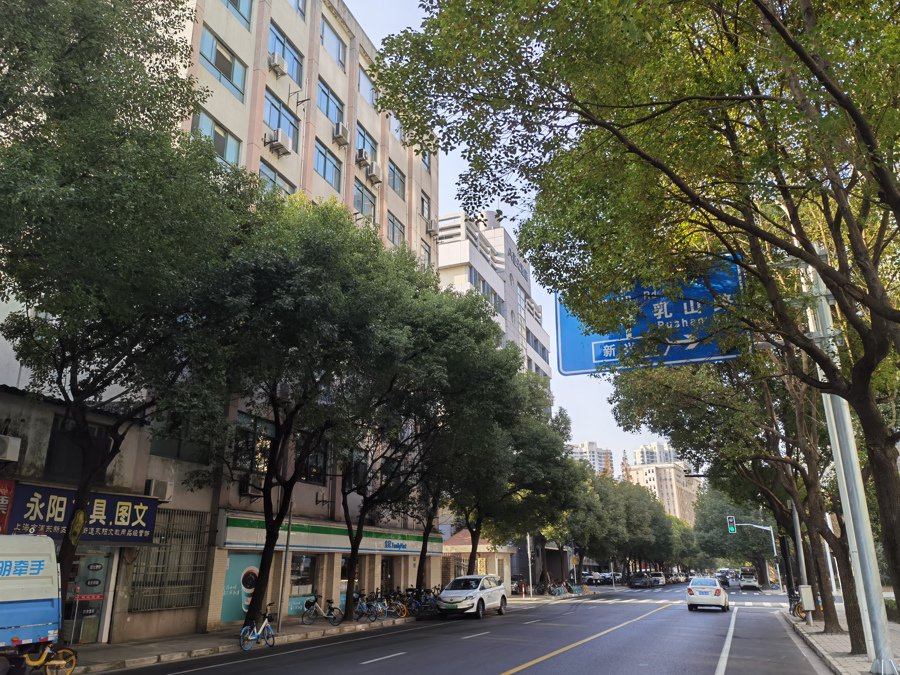尚海郦景的居民们称,商城路上的香樟树遮蔽路灯、路牌的情况也颇为严重。