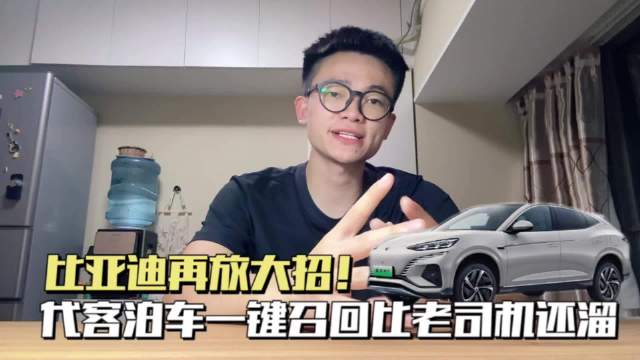 比亚迪在新能源领域的成就真的数不胜数……