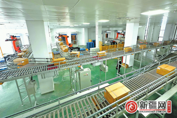 1月8日,在新奇康药业股份有限公司智能化仓储物流中心,主滑道上货品自动分配到各个入库机械臂前。(全媒体记者石磊摄)