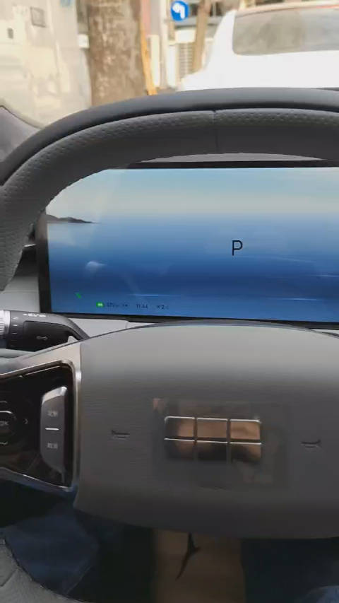 各个车型都说自己大屏！ 就银河E8这大屏，才叫真大屏吧