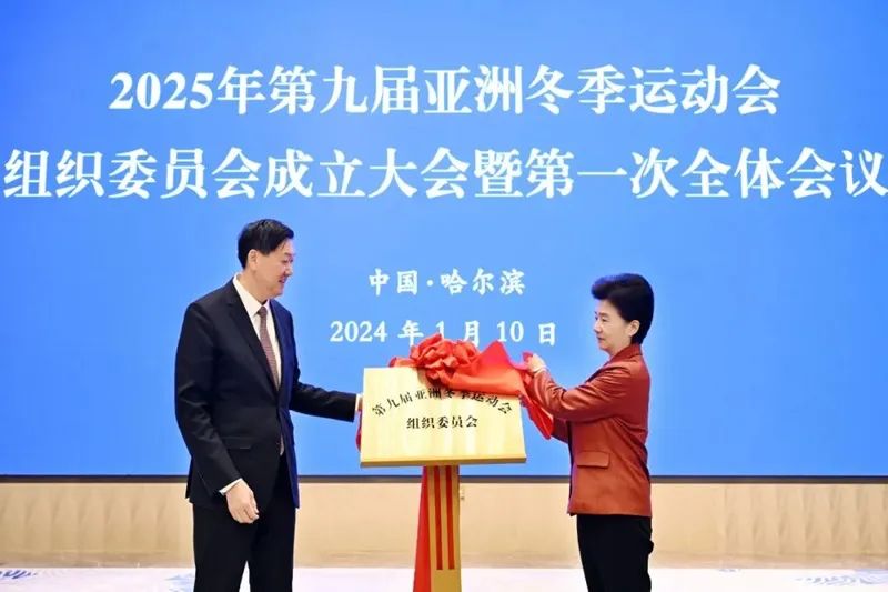 大象比分下载
