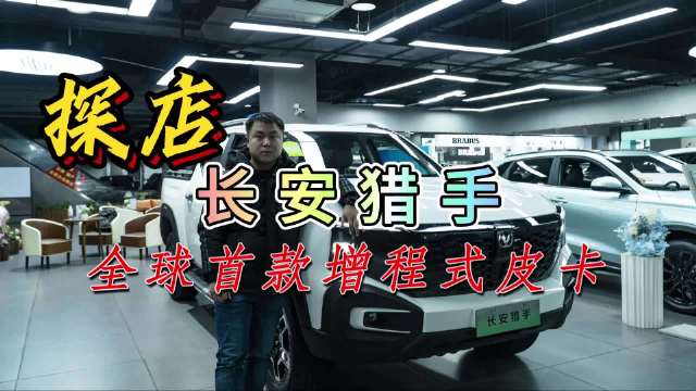 皮卡在国内一直都是叫好不叫座……