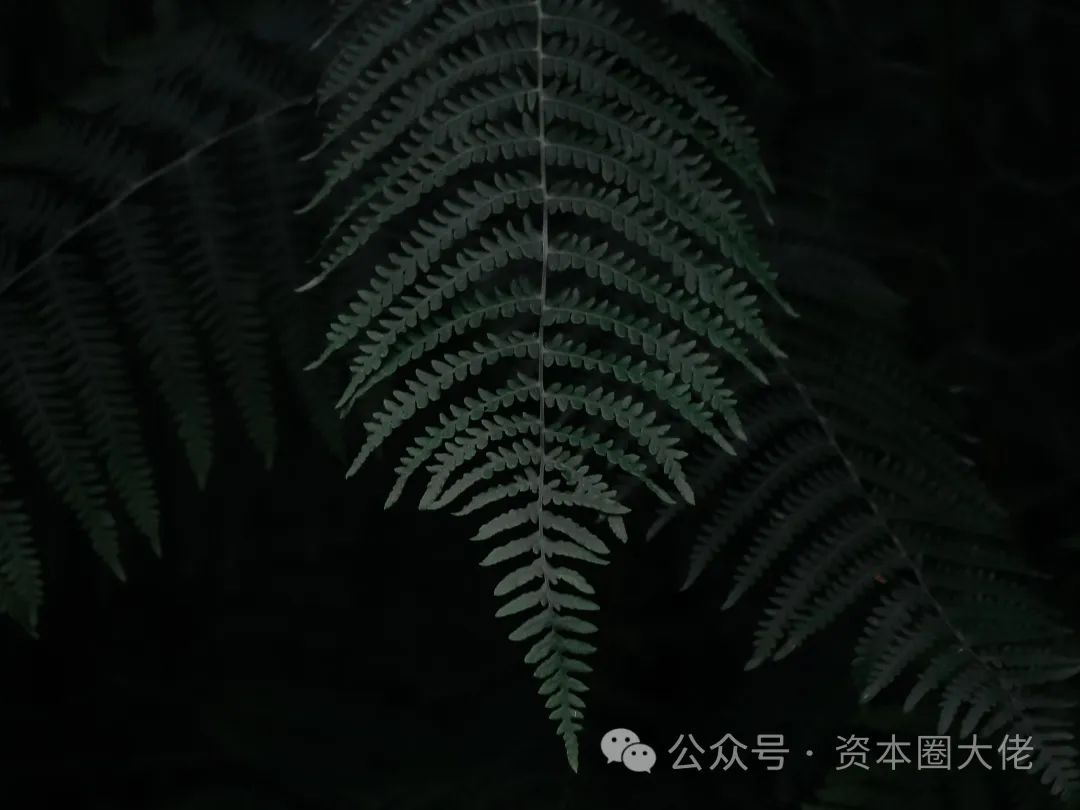 IPO舆情 | 安佑生物IPO前分红11亿,拟募2亿补流,增收不增利,主营毛利率两年半降7个点