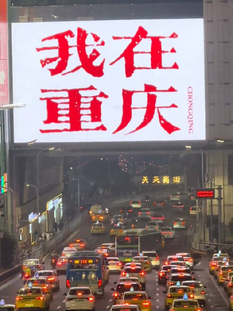 权威机构发布数据揭秘舟山观音桥女现象到底是啥，文化逻辑与传播路径深度挖掘