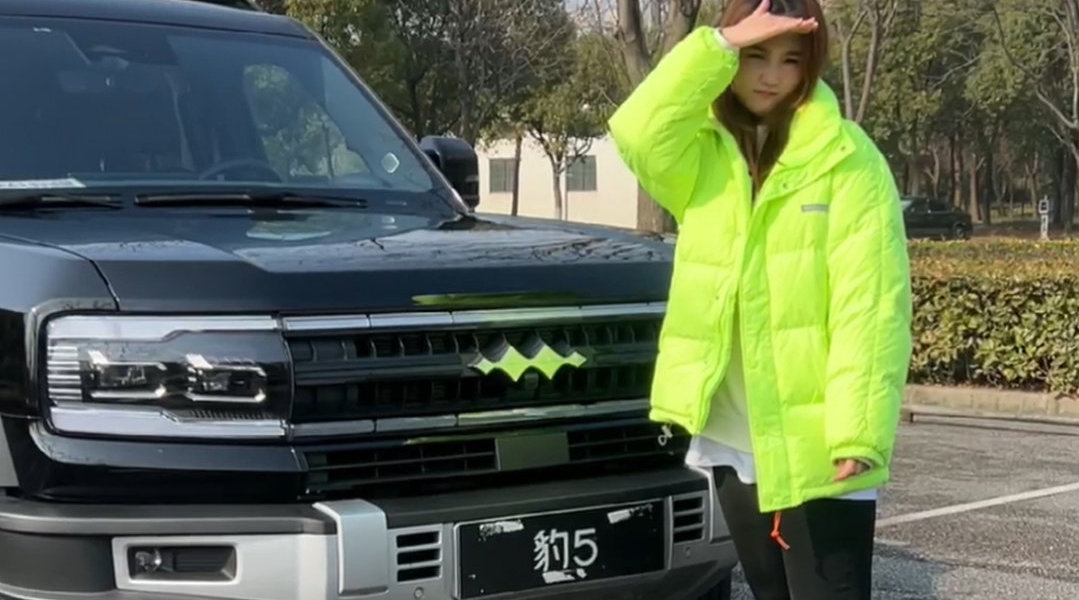 买电车改变你的99件事-方程豹豹5