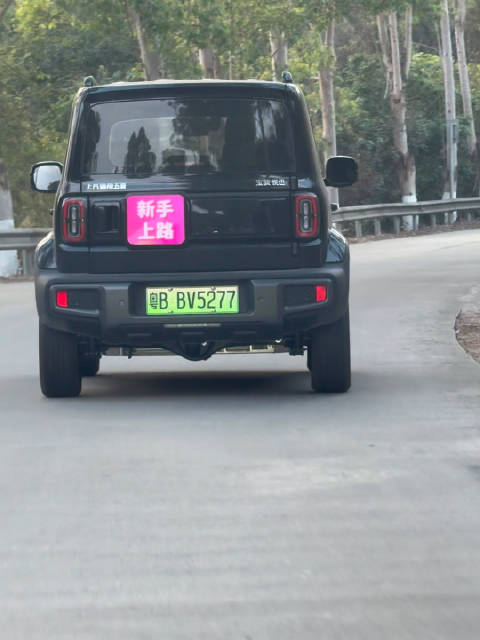 不是，现在的新能源都发展成这样了嘛