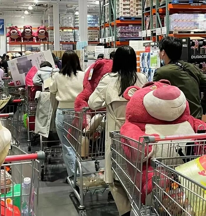 (图片来源:小红书截图)